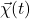 \vec{\chi}(t)