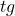 tg