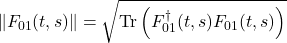 \begin{equation*}\lVert F_{01}(t,s)\rVert=\sqrt{\operatorname{Tr} \left(F_{01}^\dagger(t,s) F_{01}(t,s)\right)}\end{equation*}